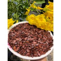 HẠT DƯA LOẠI 1 (500G)