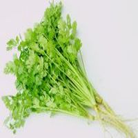 RAU NGÒ RÍ AN TOÀN VIETGAP (50G)