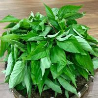RAU ĐAY AN TOÀN VIETGAP (500G)