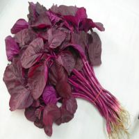 RAU DỀN ĐỎ AN TOÀN VIETGAP (500G)