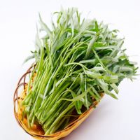 RAU MUỐNG BABY VIETGAP (350G)