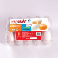 TRỨNG VỊT TƯƠI (HỘP 10 QUẢ)