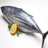 CÁ NGỪ BÒ (500G)