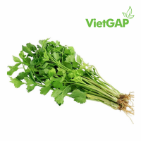 RAU CẦN TÀU VIETGAP 100G