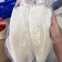 MỰC MỘT NẮNG (500G)