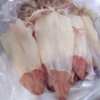 MỰC MỘT NẮNG LỘT DA (500G)