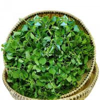 RAU DỀN CƠM BABY (350G)
