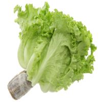 XÀ LÁCH LÔ LÔ XANH THUỶ CANH (200G)