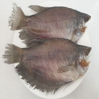 Khô Cá Sặc Bổi U Minh Cà Mau (Kg)