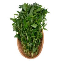 Rau Húng Cây (Húng Đứng) 100g