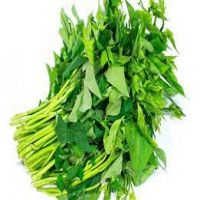 RAU LANG VIETGAP 500G